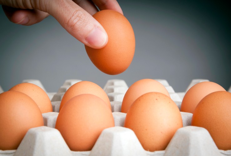 Come conservare correttamente le uova