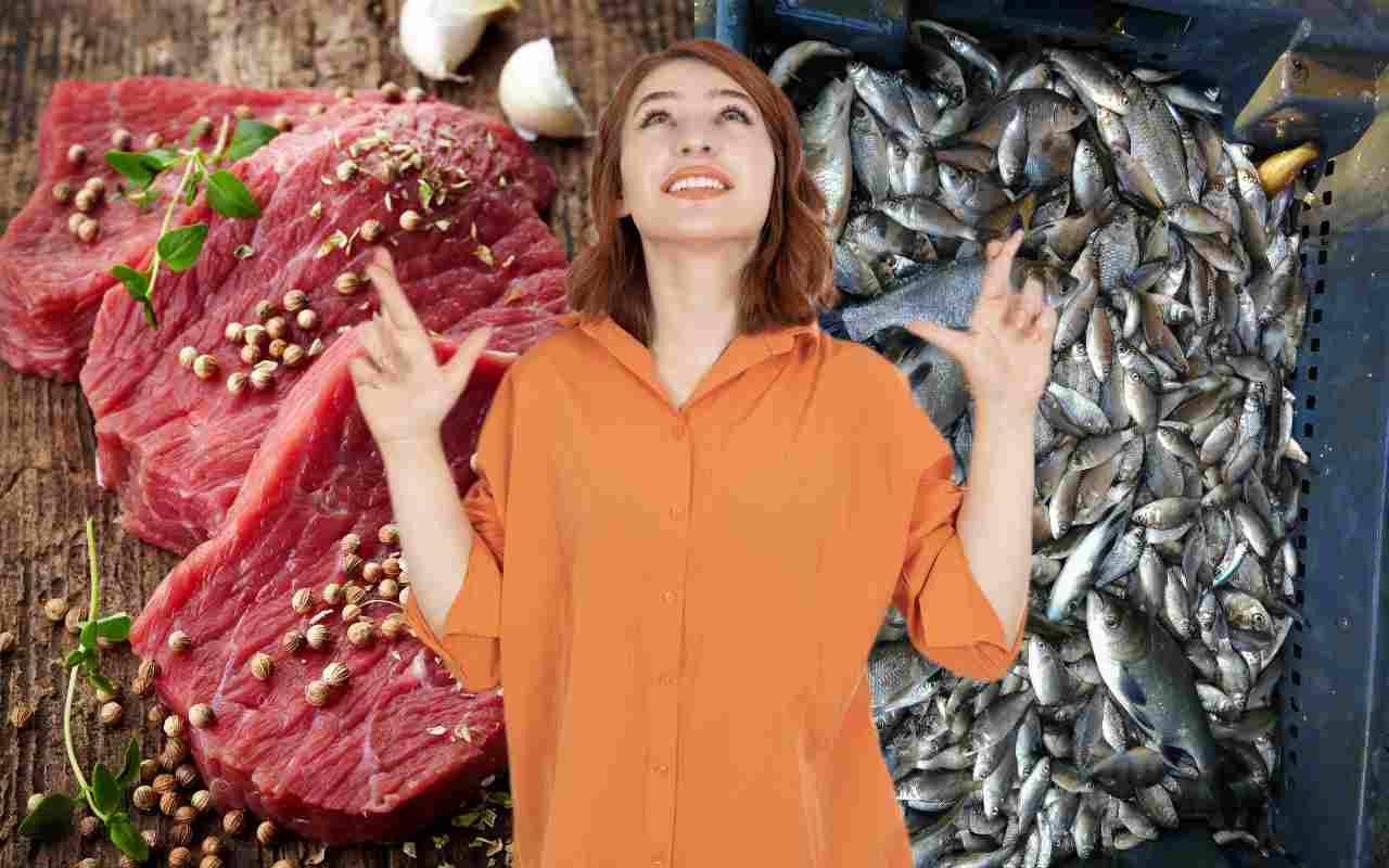 Cosa mangiare al posto di carne e pesce?