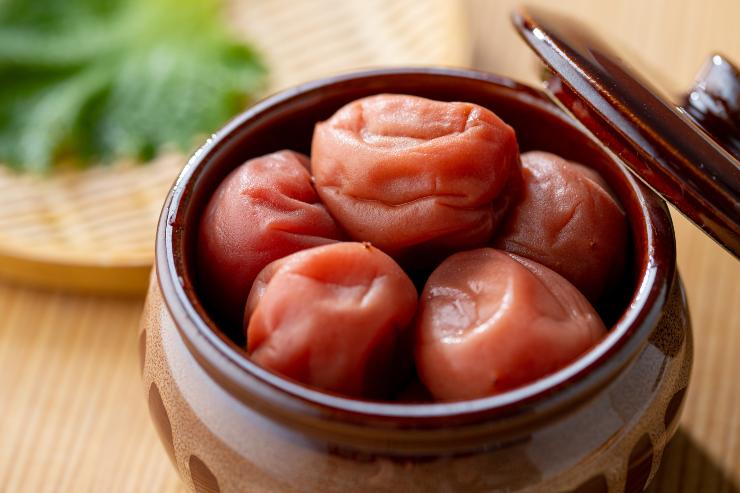 prugne umeboshi