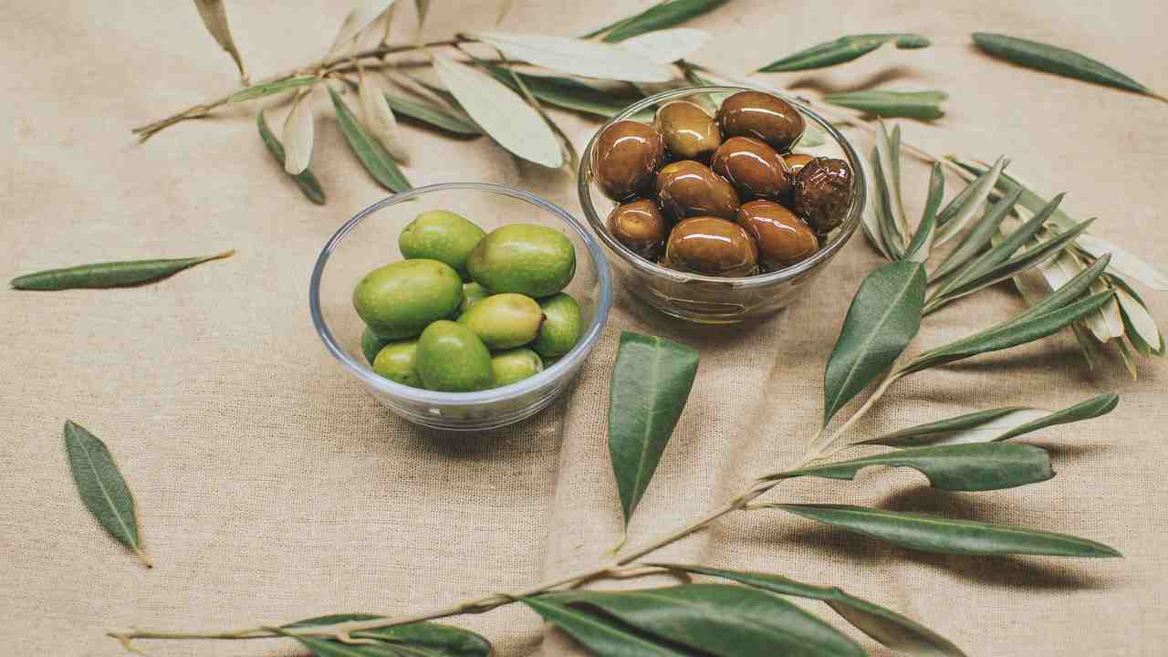 Le olive e il loro colore