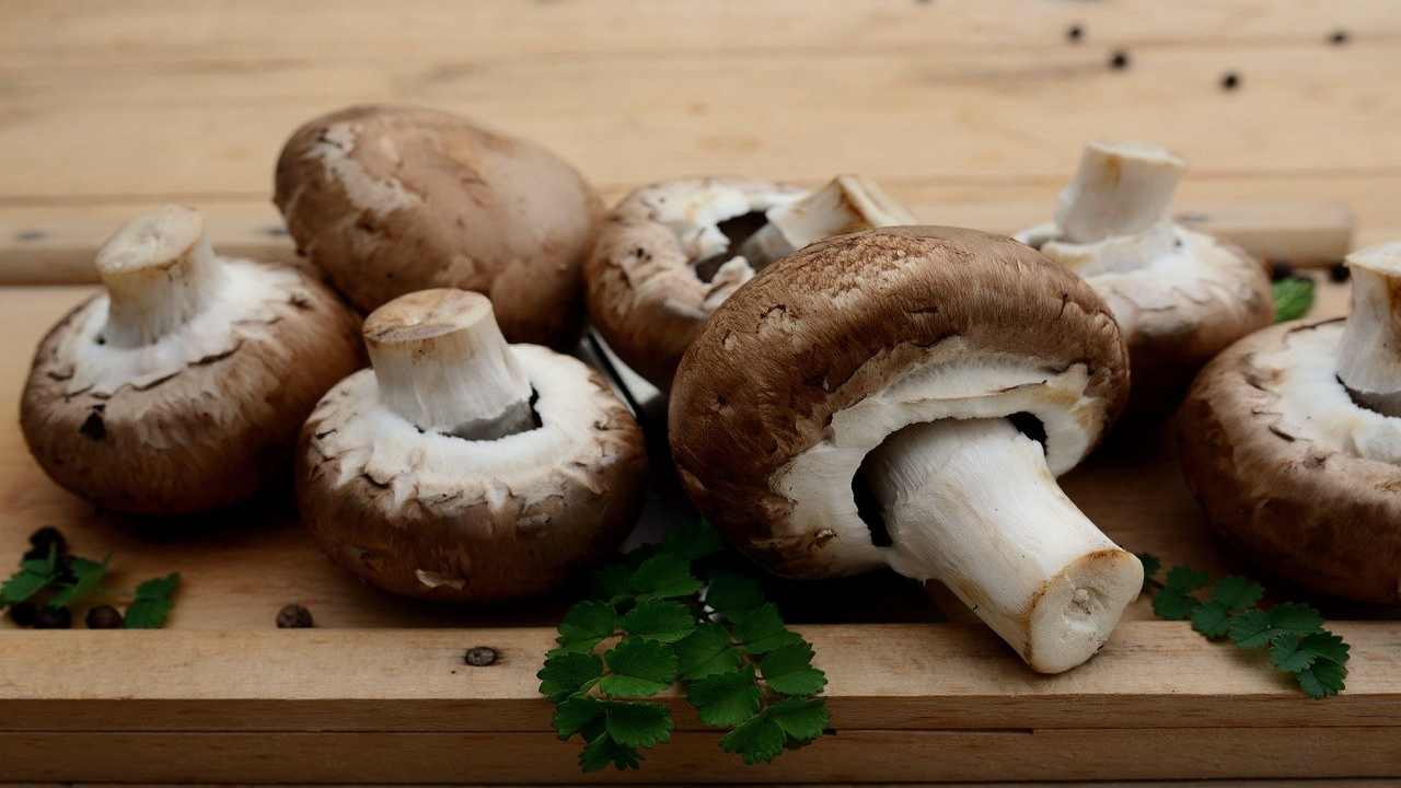 Non sai cucinare i funghi?