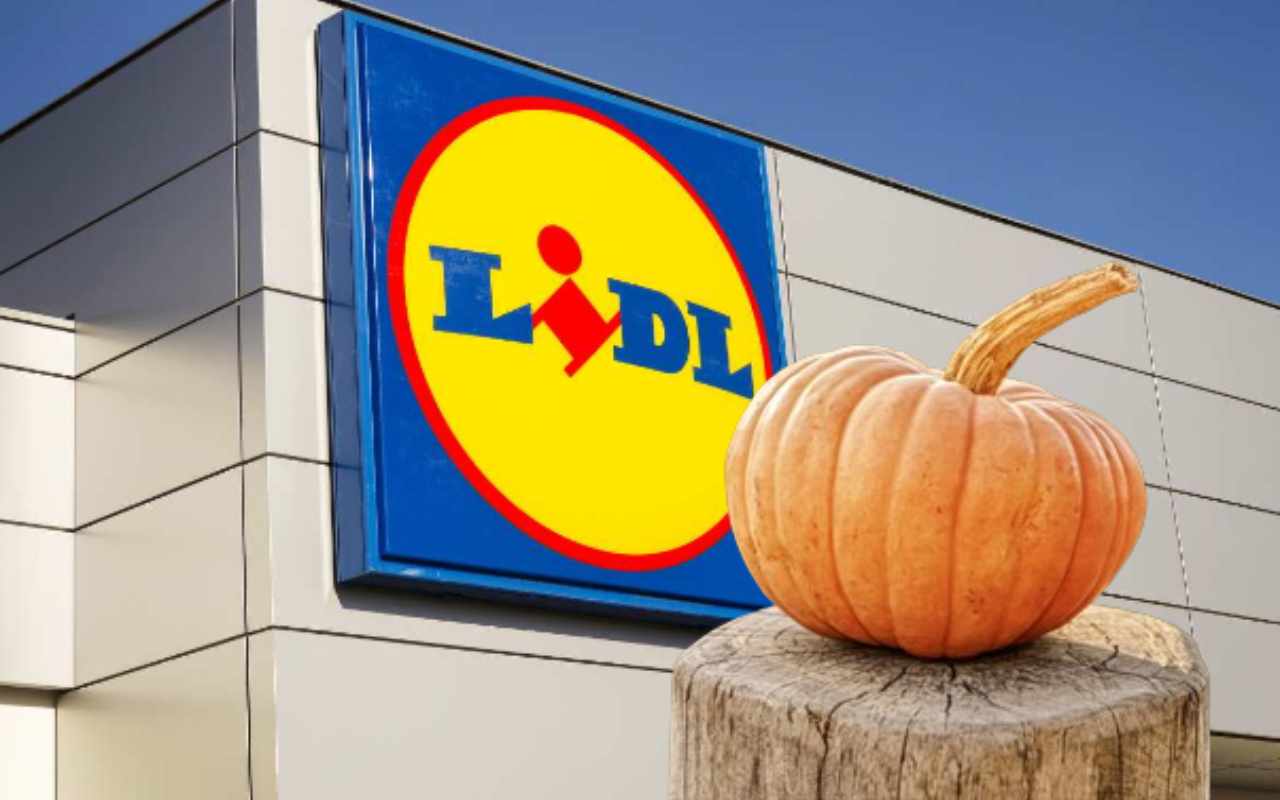 lidl offerte