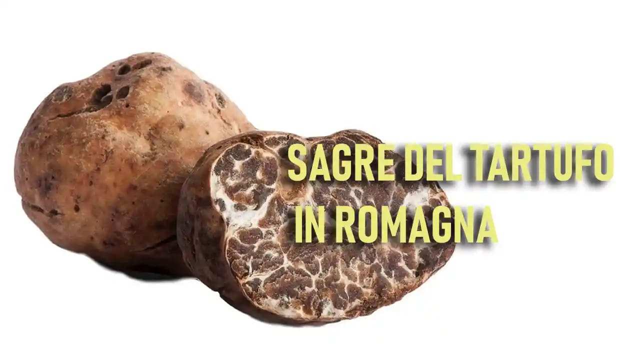 tartufo sagra