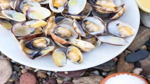 Ecco come spurgare le vongole