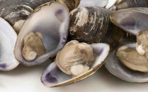 Spurgare le vongole con un semplice trucco