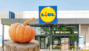 zucca offerta lidl